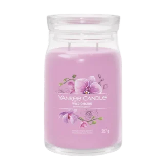 Wild Orchid