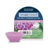 Wild Orchid