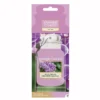 Wild Orchid