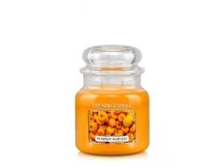 Country Candle Pumpkin Harvest vonná sviečka stredná 2-knôtová (453 g)