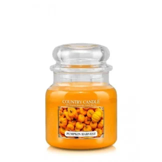 Country Candle Pumpkin Harvest vonná sviečka stredná 2-knôtová (453 g)