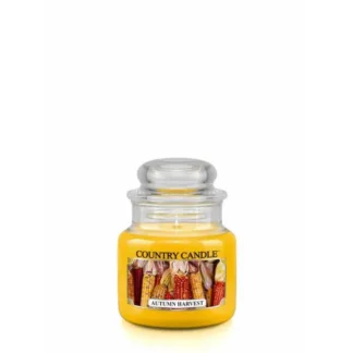 Country Candle Autumn Harvest vonná sviečka mini 1-knôtová (104 g)