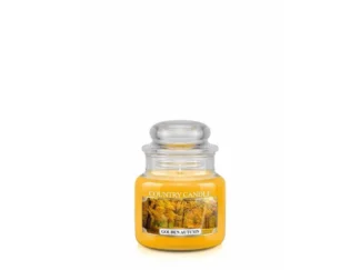 Country Candle Golden Autumn vonná sviečka mini 1-knôtová (104 g)