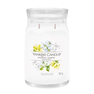 Midnight Jasmine