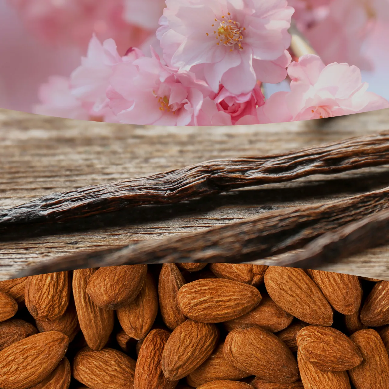 Cherry Blossom & Vanilla – Obrázok 2