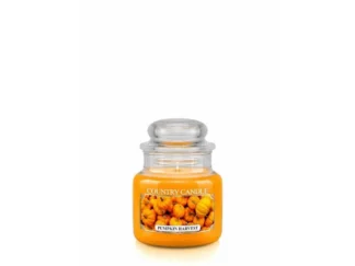 Country Candle Pumpkin Harvest vonná sviečka mini 1-knôtová (104 g)
