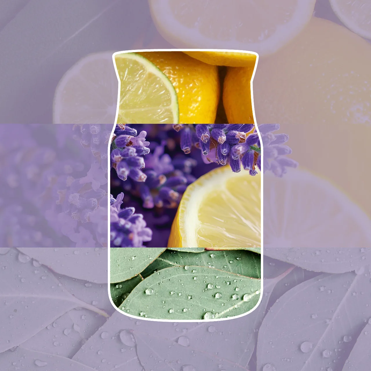 Lemon Lavender – Obrázok 2