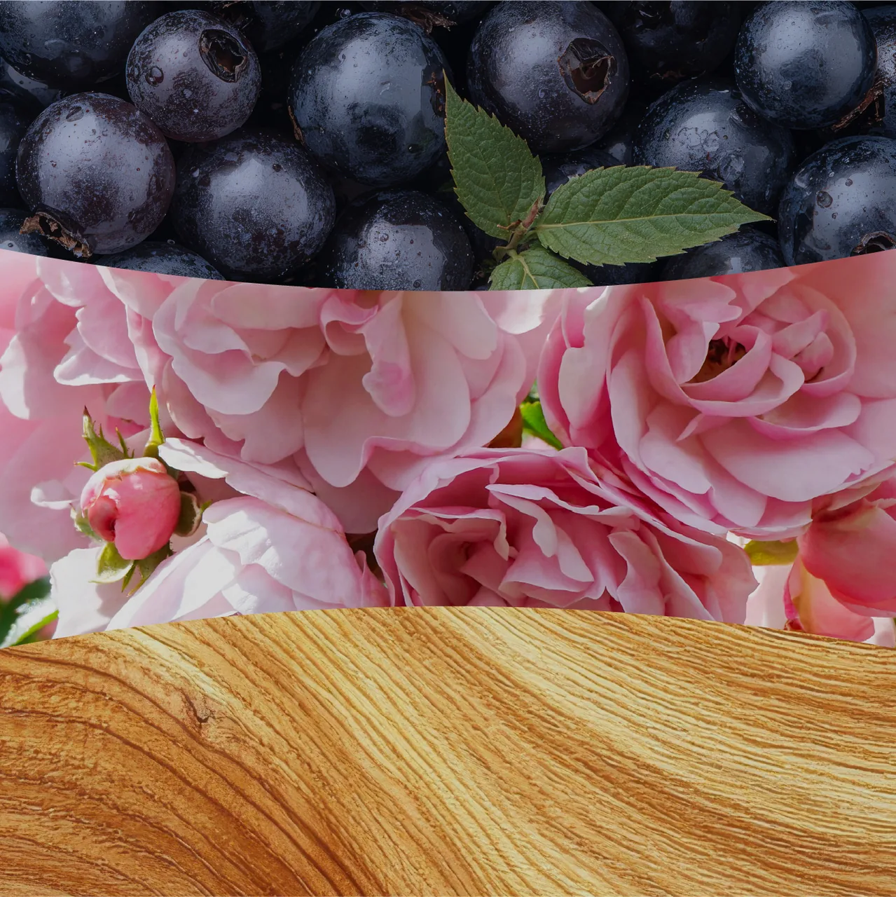 Rose Blush – Obrázok 2