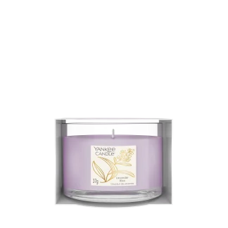 Lavender Bliss