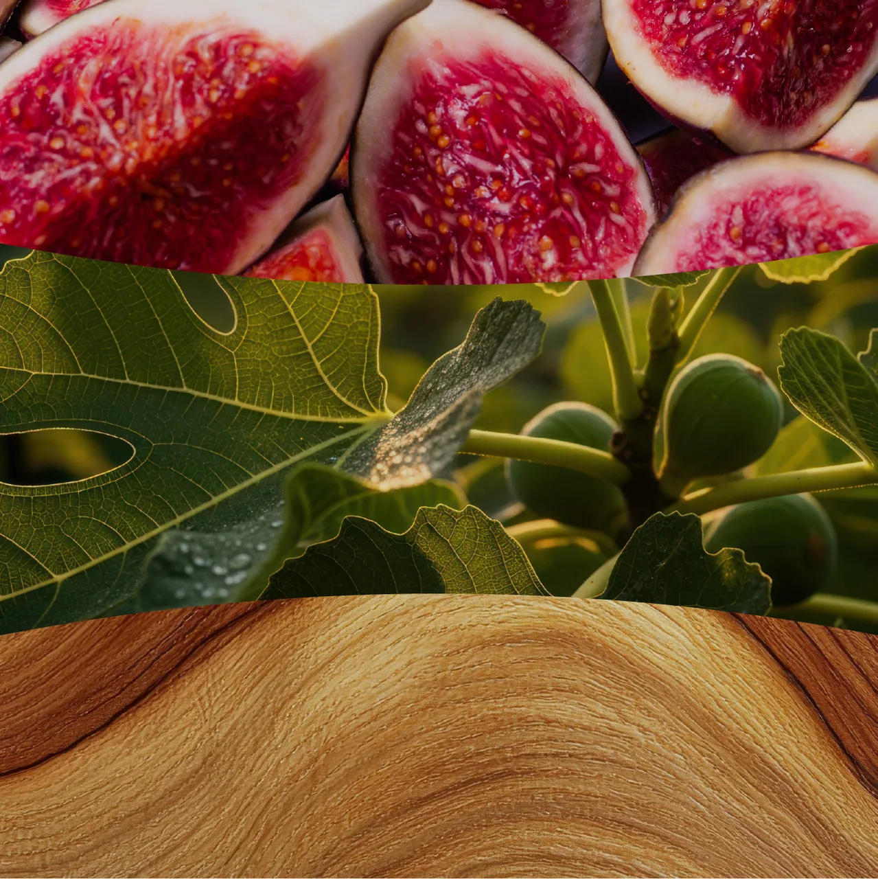 Verdant Fig – Obrázok 2