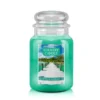 Country Candle Citrus & Seagrass vonná sviečka veľká 2-knôtová (652 g)
