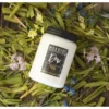 MILKHOUSE CANDLE Morning Dew vonná sviečka Farmhouse Jar (737 g)
