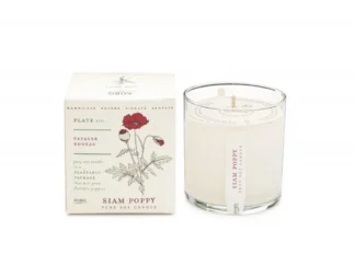 KOBO Plant the Box Siam Poppy vonná sviečka (10oz / 283g)