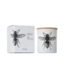 Vila Hermanos Insect Calabrone vonná sviečka s dreveným knôtom 190g