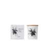 Vila Hermanos Insect Lucanus Cervus vonná sviečka s dreveným knôtom 75g
