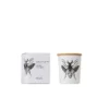 Vila Hermanos Insect Dorysthenes Walkeri vonná sviečka s dreveným knôtom 75g
