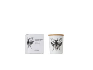 Vila Hermanos Insect Dorysthenes Walkeri vonná sviečka s dreveným knôtom 75g