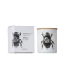 Vila Hermanos Insect Scarabeus Sacer vonná sviečka s dreveným knôtom 190g
