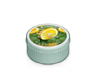 Kringle Candle CITRUS & SAGE vonná sviečka (42 g)