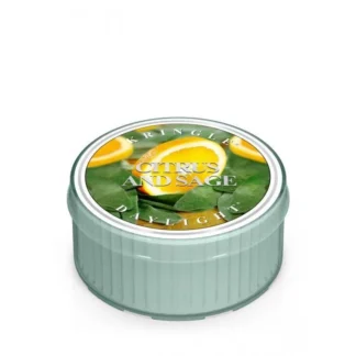 Kringle Candle CITRUS & SAGE vonná sviečka (42 g)