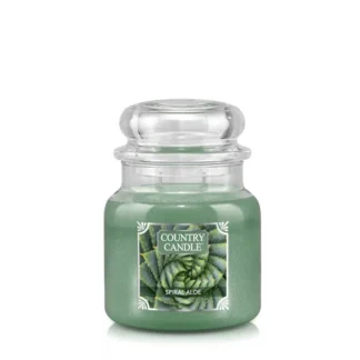 Country Candle Spiral Aloe vonná sviečka stredná 2-knôtová (453 g)