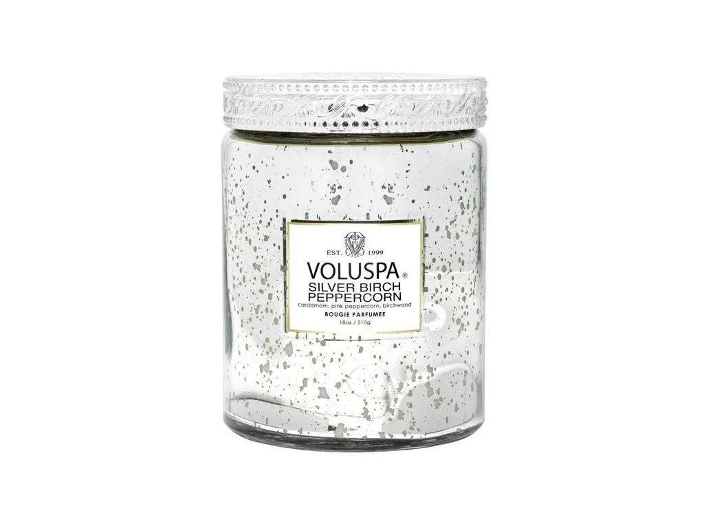 Voluspa Vermeil Silver Birch Large Jar vonná sviečka (18oz / 510g)