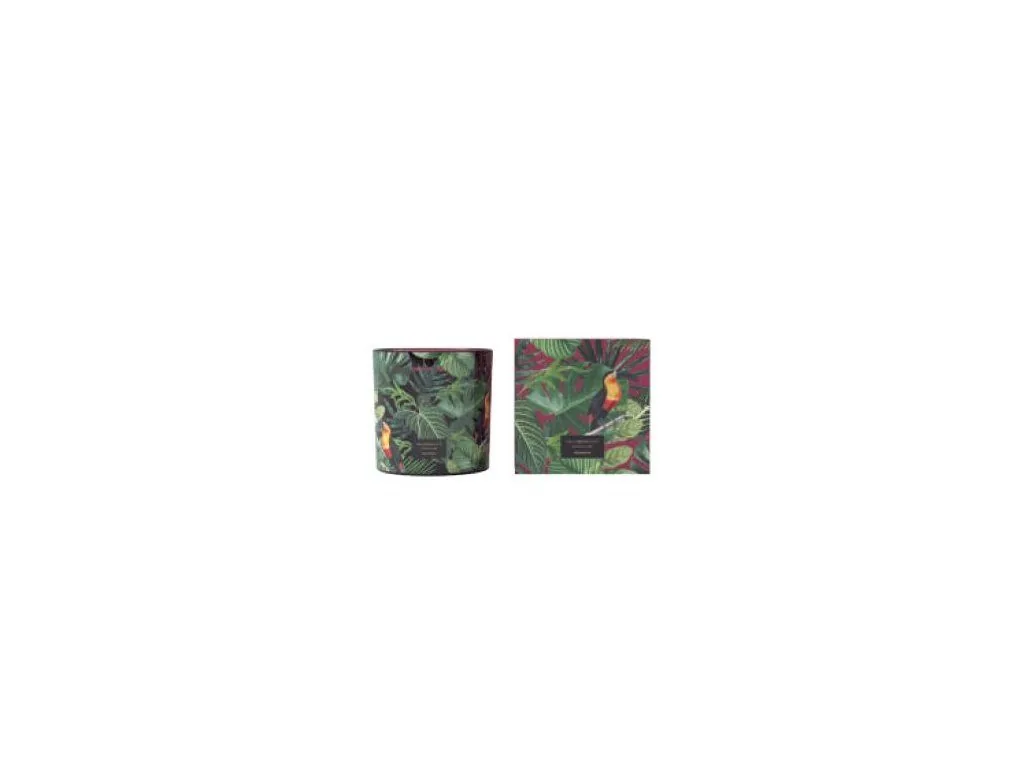 Vila Hermanos Jungletopia SPICY CYPRIOL vonná sviečka 650g