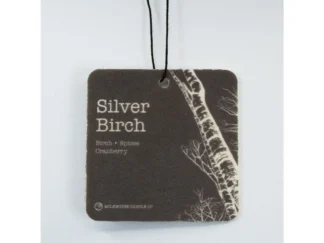 Milkhouse Candle Silver Birch vôňa do auta