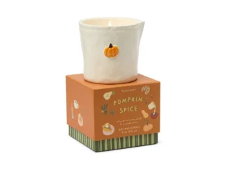 Paddywax Bistro PUMPKIN SPICE vonná sviečka 226g