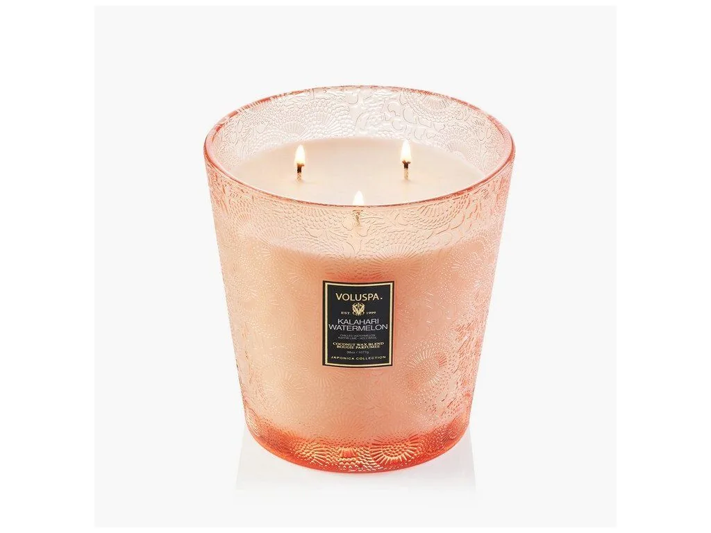 Voluspa Japonica Foraged Wildberry Mini Hearth vonná sviečka 1 077g – Obrázok 3