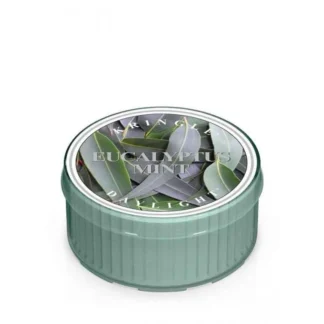 Kringle Candle Eucalyptus Mint vonná sviečka (42 g)