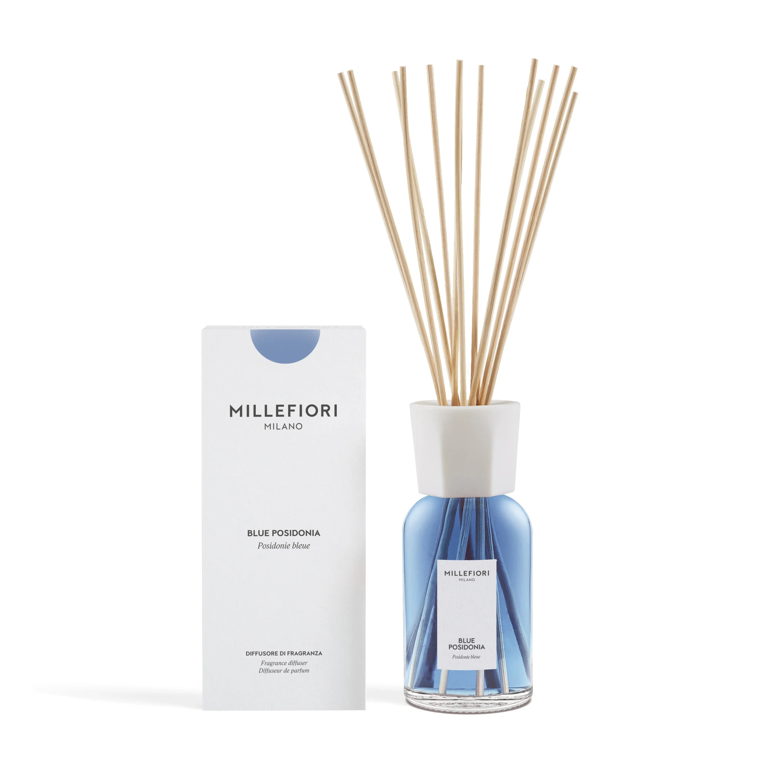 Blue Posidonia