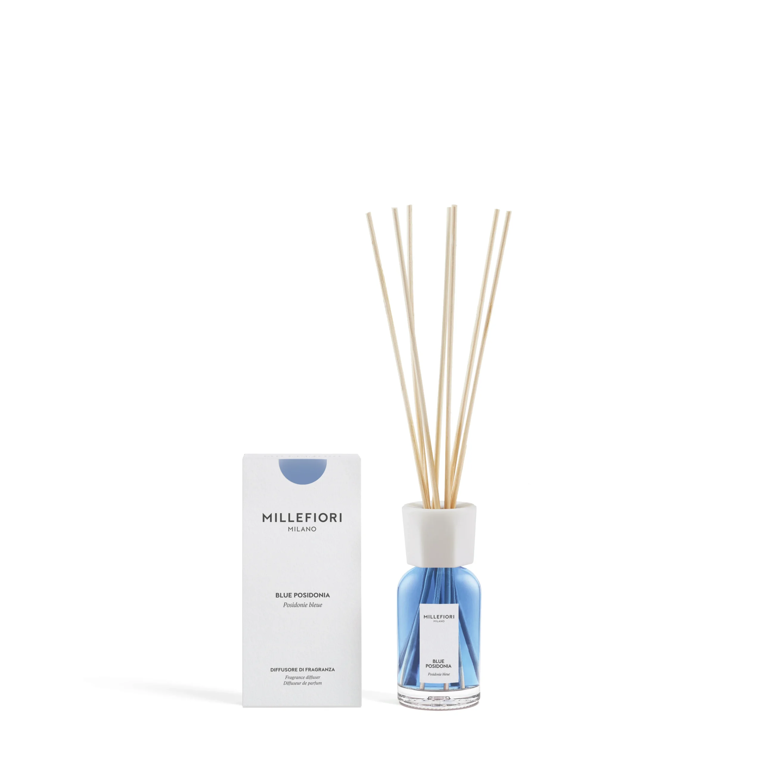 Blue Posidonia