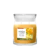 STARFRUIT & SUNSHINE — Stredná sviečka Signature 368g