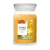 STARFRUIT & SUNSHINE — Veľká sviečka Signature 567g