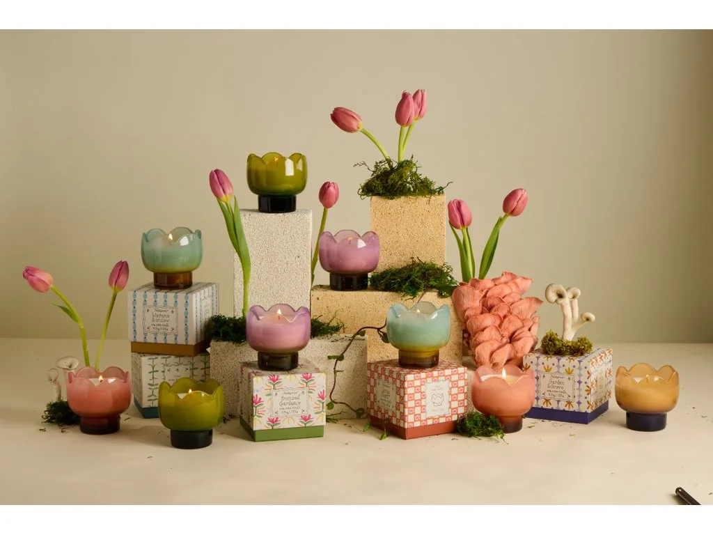 Paddywax TULIP Wisteria & Willow vonná sviečka v darčekovom balení 155g