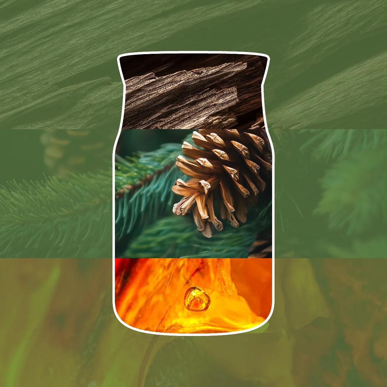 BALSAM & CEDAR FIRESIDE — Stredná sviečka Signature 368g – Obrázok 2