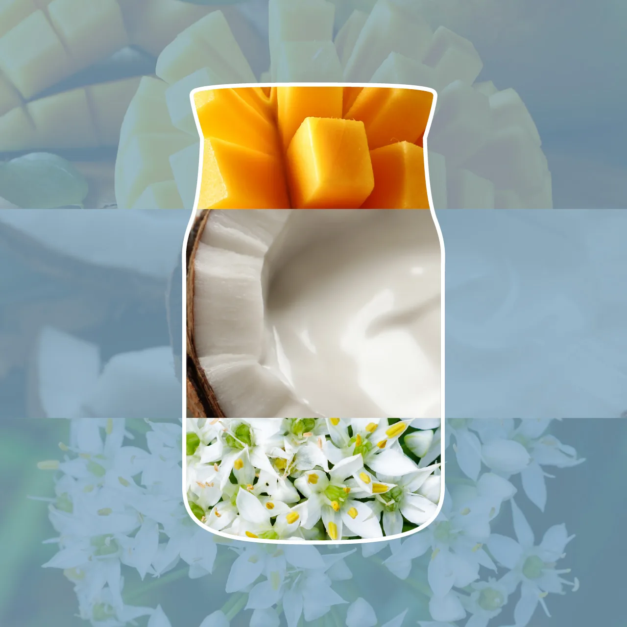 SALTED COCONUT — Stredná sviečka Signature 368g – Obrázok 2
