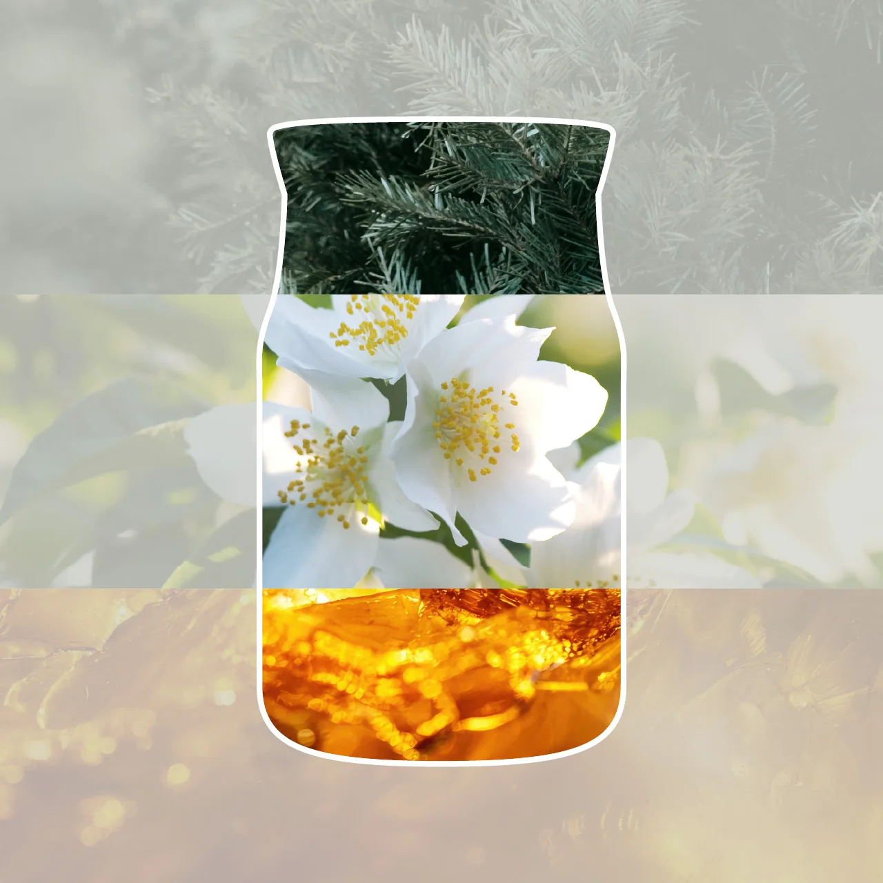 SILVER BIRCH — Stredná sviečka Signature 368g – Obrázok 2